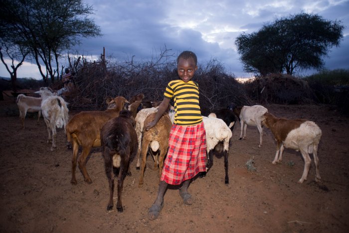 Lchekutis, los niños pastores masai